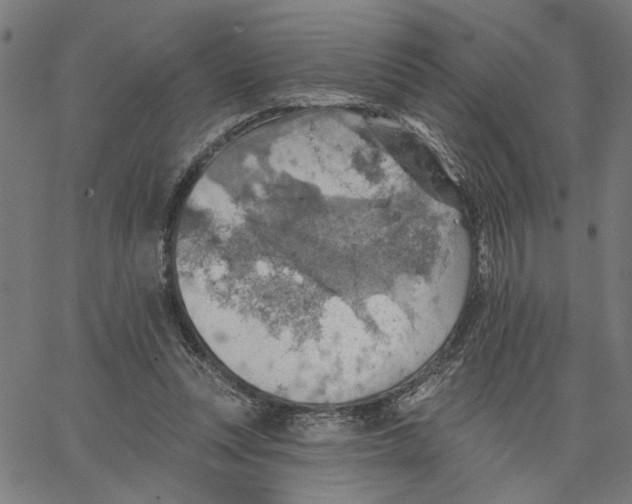 X0000067510351200604281614