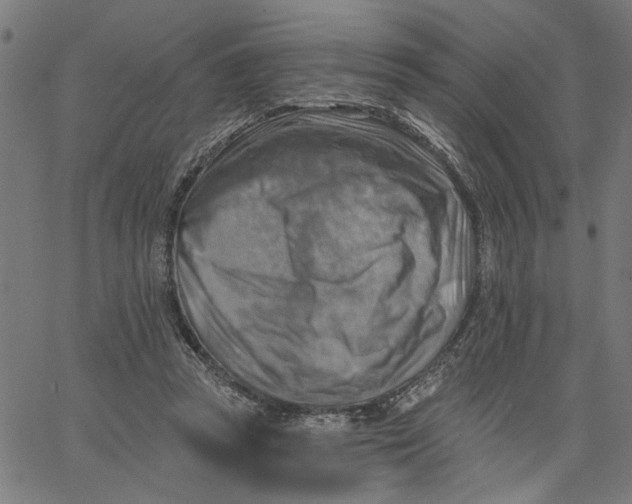 X0000067510353200604281614