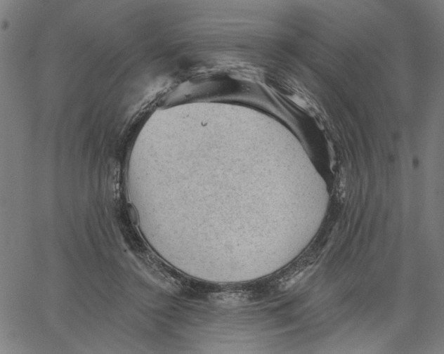 X0000067510356200604281614