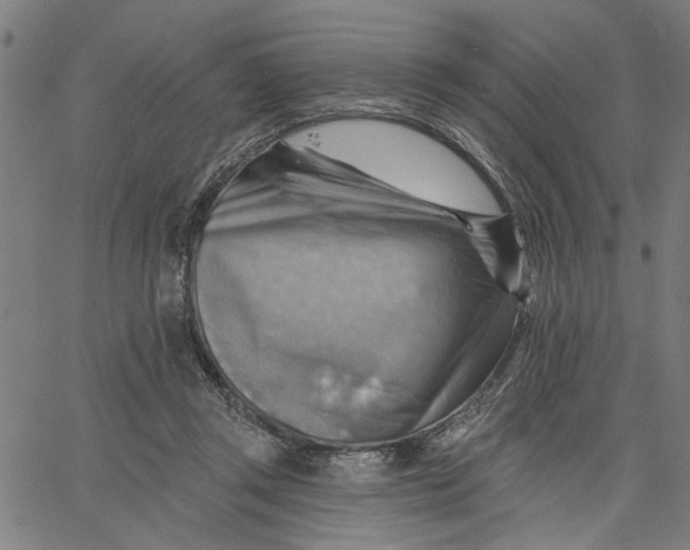 X0000067510357200604281614