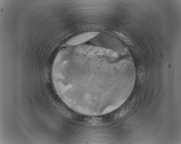 X0000067510359200604281614