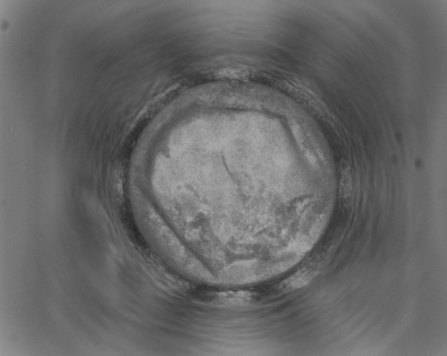 X0000067510363200604281614