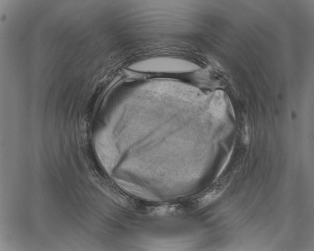 X0000067510366200604281614