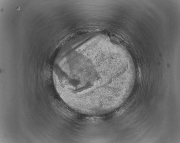 X0000067510367200604281614