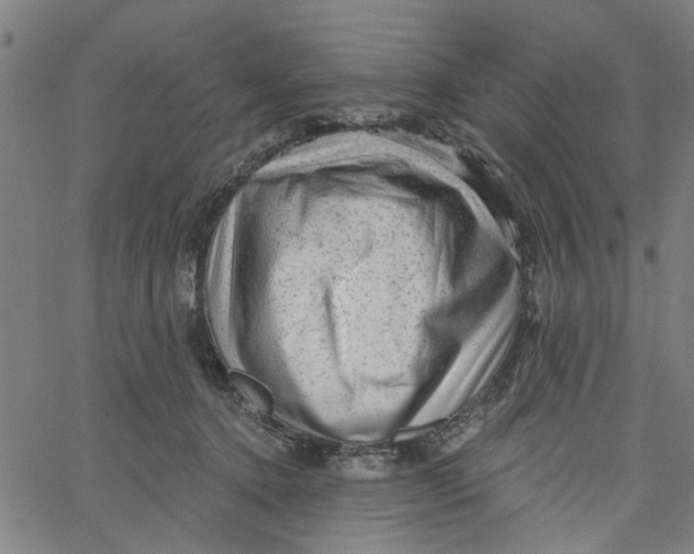 X0000067510368200604281614