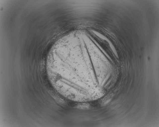 X0000067510369200604281614