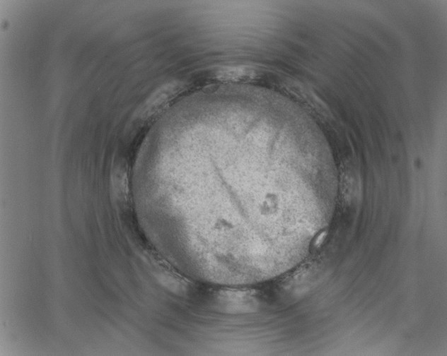 X0000067510375200604281614