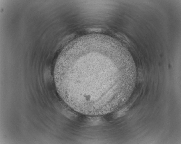 X0000067510377200604281614