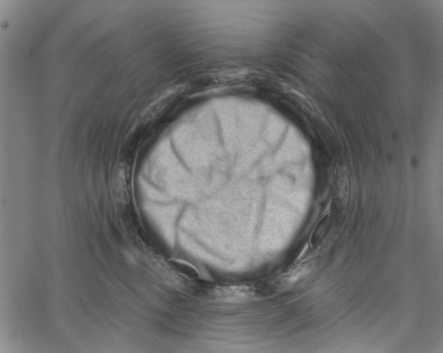 X0000067510378200604281614