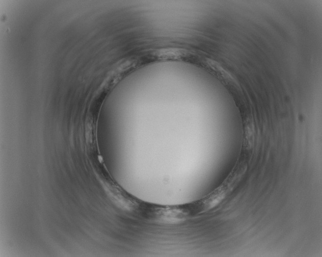 X0000067510379200604281614