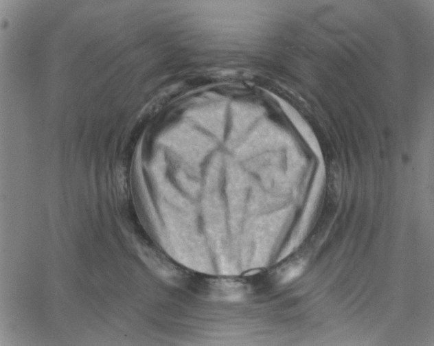 X0000067510380200604281614