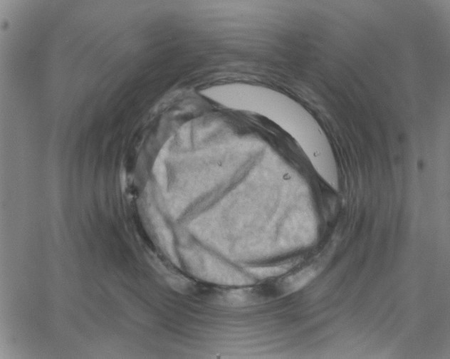 X0000067510382200604281614