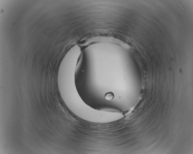 X0000067510383200604281614