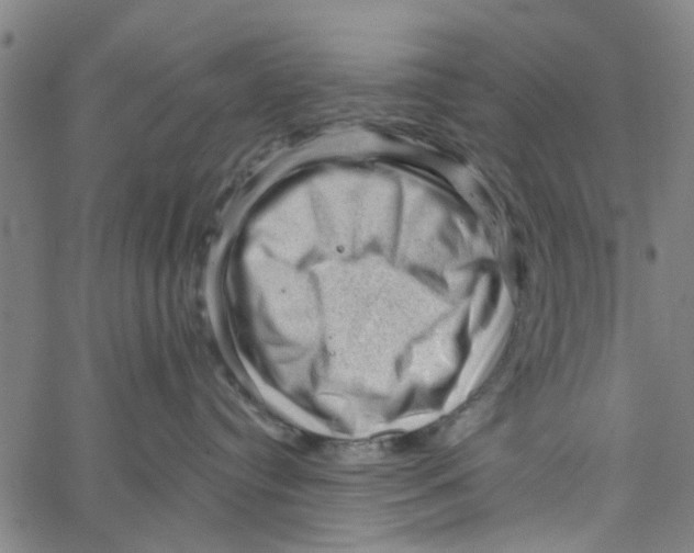 X0000067510384200604281615