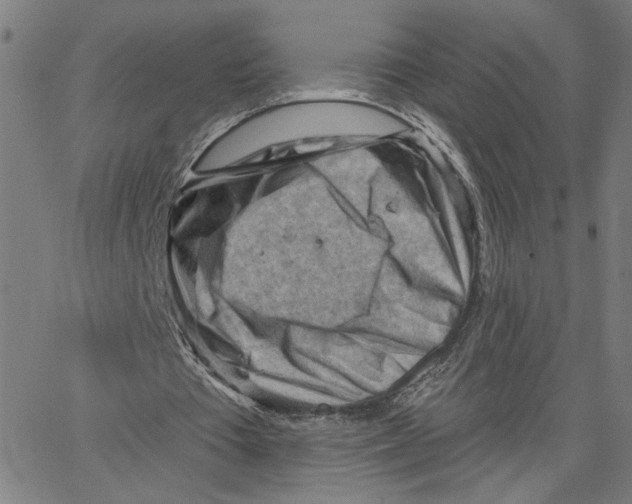 X0000067510385200604281614