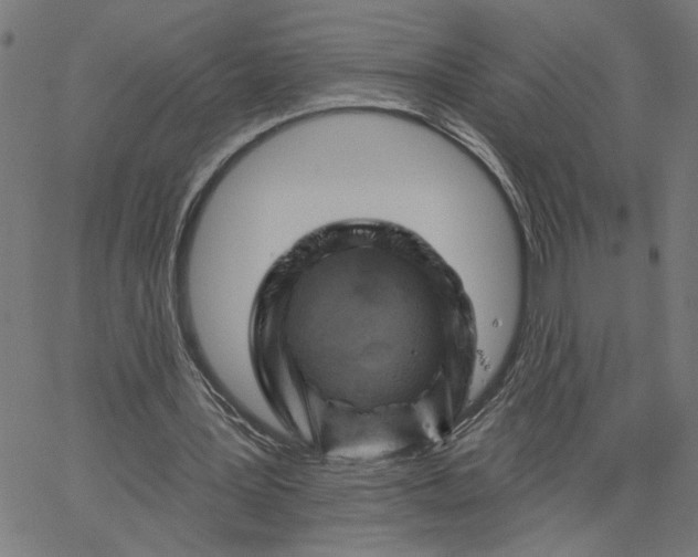 X0000067510387200604281614