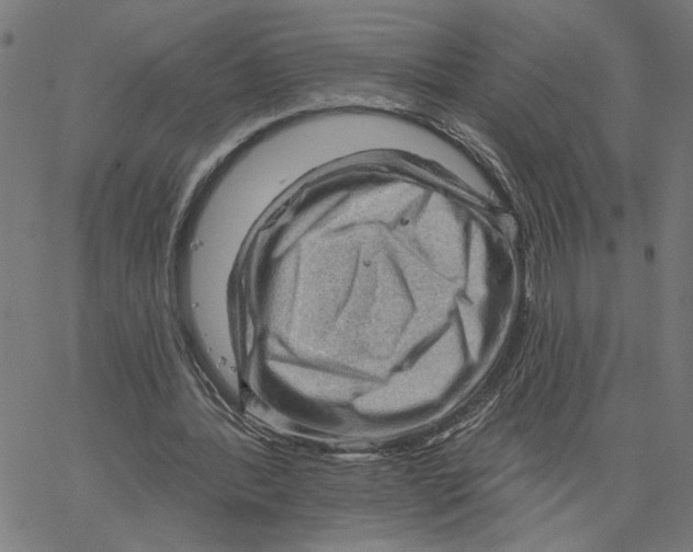 X0000067510388200604281614