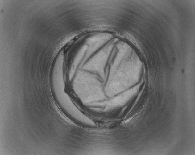 X0000067510389200604281614