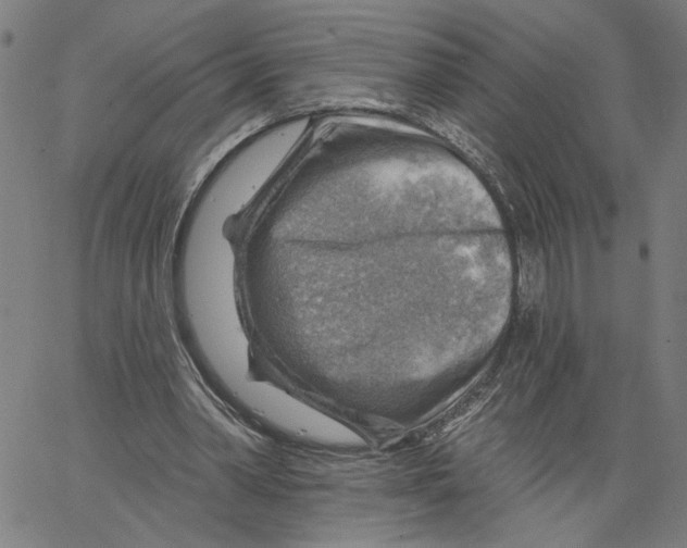 X0000067510390200604281614