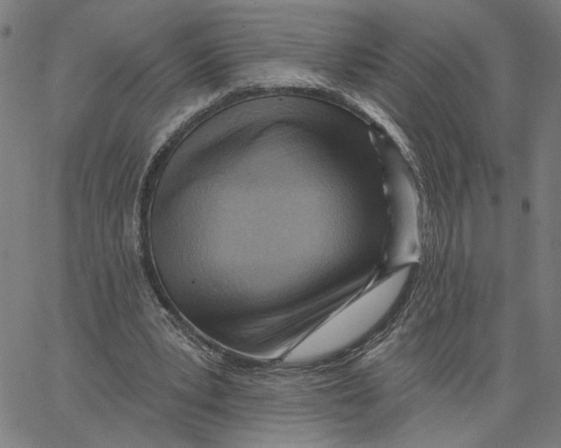 X0000067510391200604281614