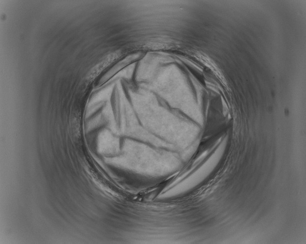 X0000067510393200604281614