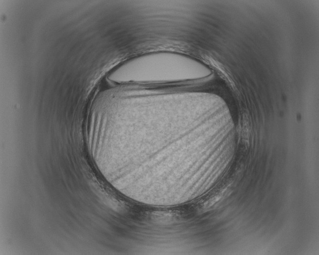 X0000067510394200604281614