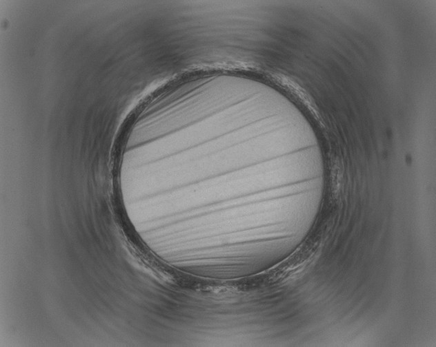 X0000067510395200604281614