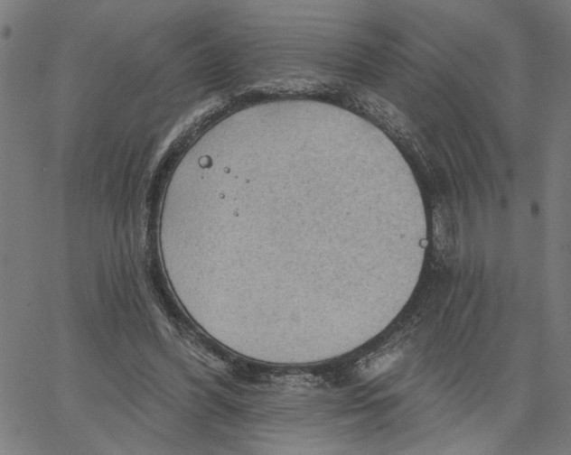 X0000067510396200604281614