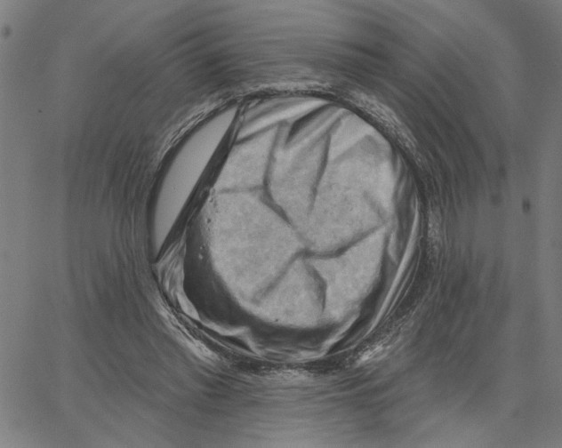 X0000067510397200604281614