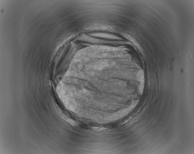 X0000067510399200604281613