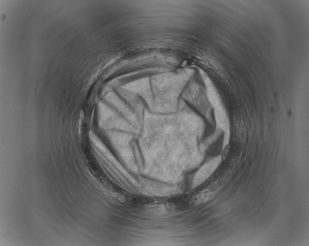 X0000067510404200604281613