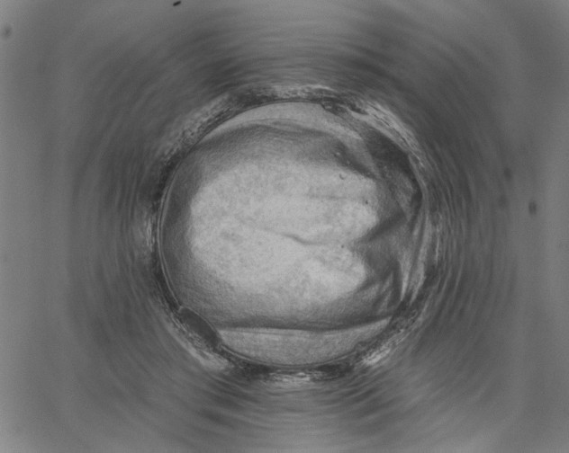 X0000067510405200604281613