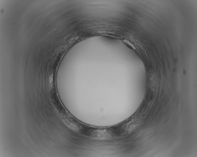 X0000067510406200604281613