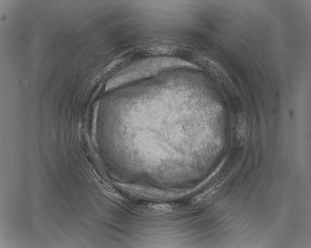 X0000067510409200604281613