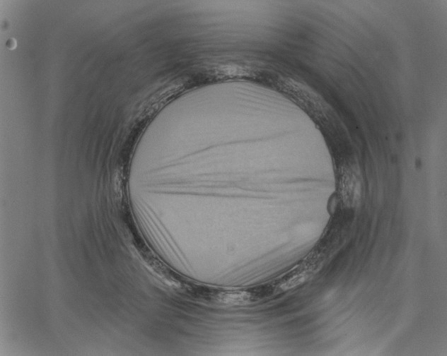 X0000067510410200604281613