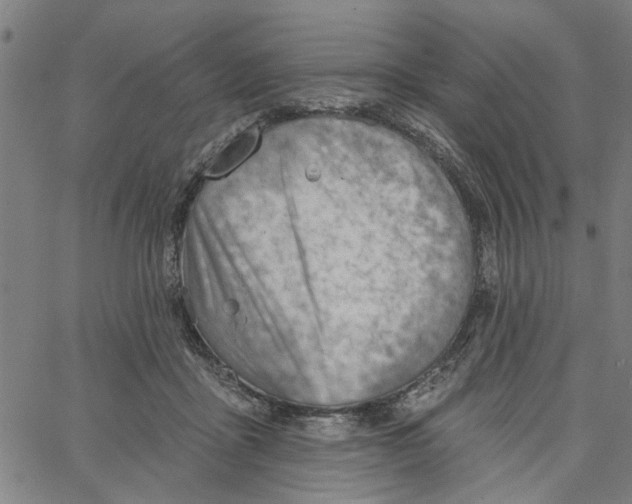 X0000067510411200604281613