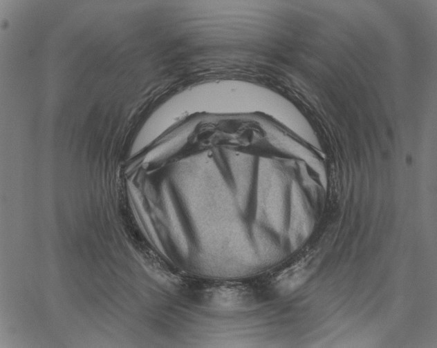 X0000067510412200604281613