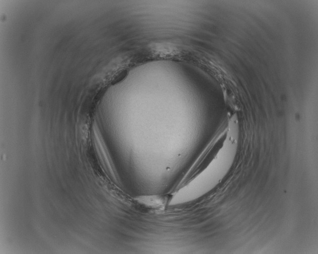 X0000067510417200604281613