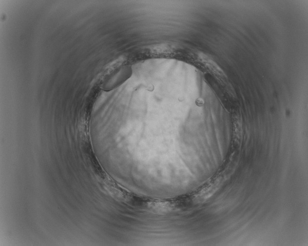 X0000067510419200604281613