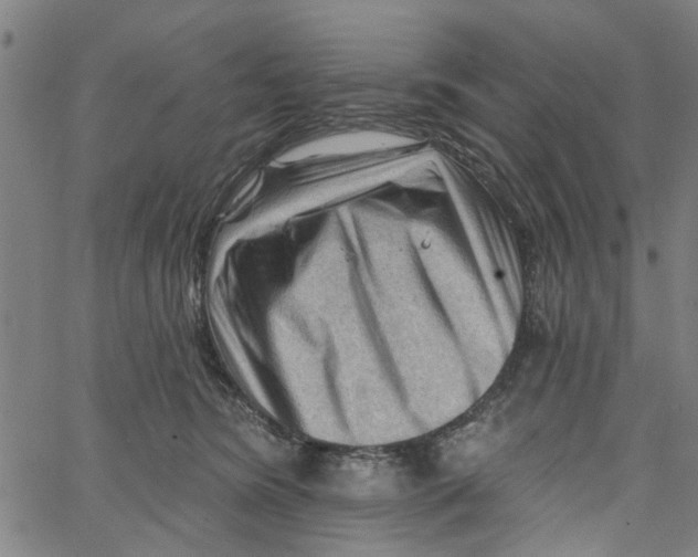 X0000067510420200604281613