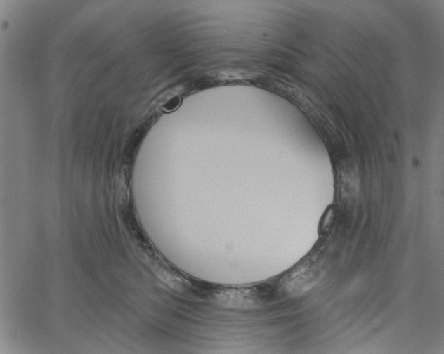 X0000067510422200604281613