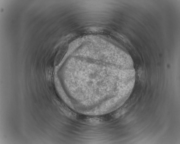 X0000067510423200604281613