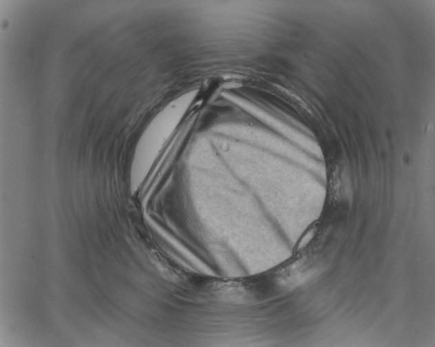 X0000067510424200604281613