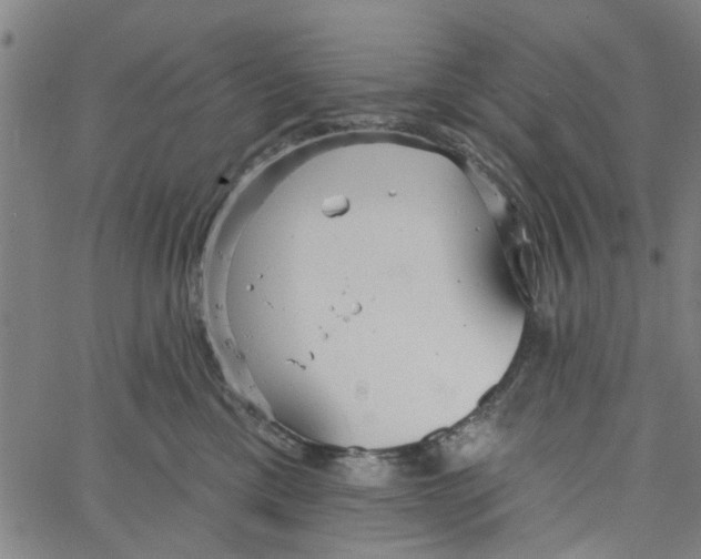 X0000067510425200604281613