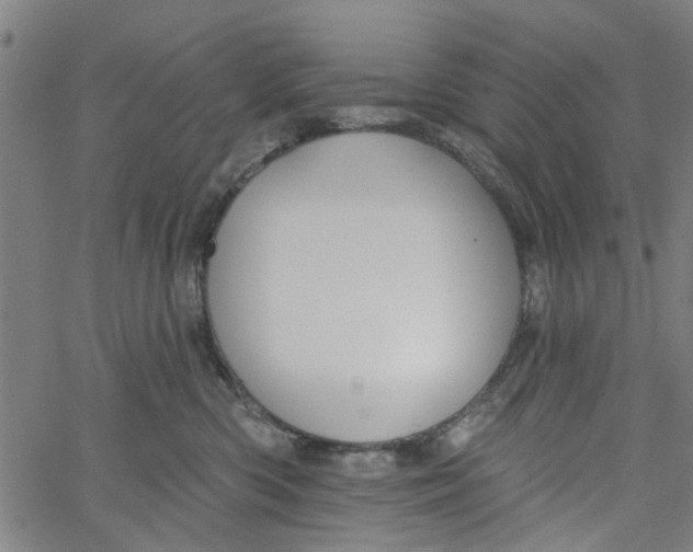 X0000067510426200604281613