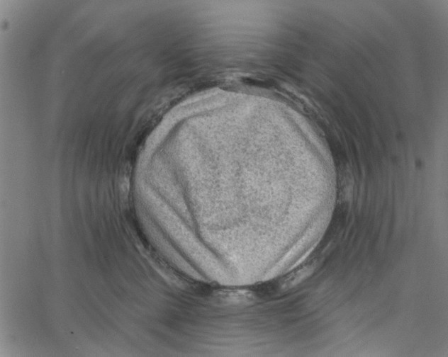 X0000067510427200604281613