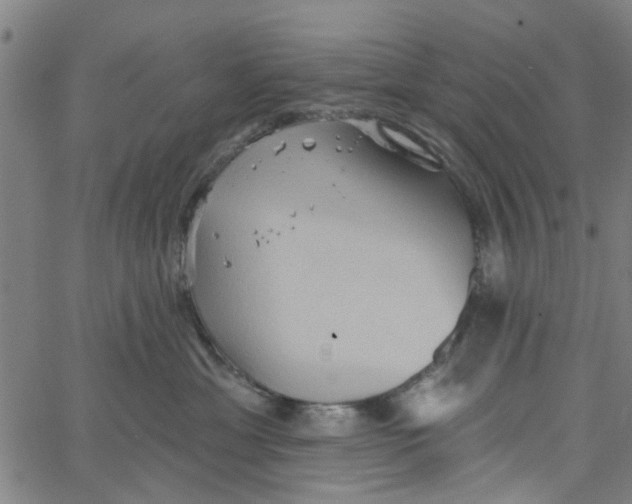 X0000067510429200604281613