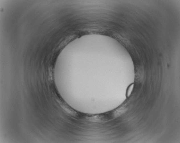 X0000067510430200604281613