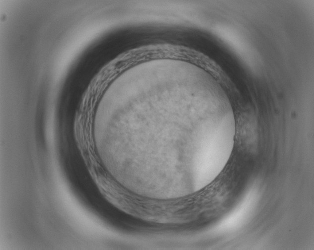 X0000067510431200604281613