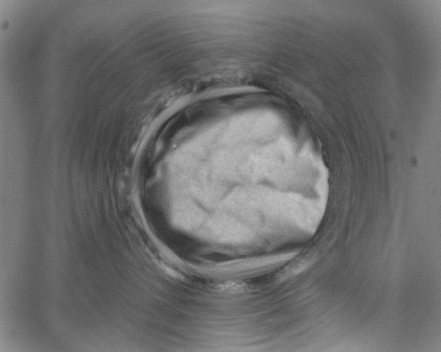 X0000067510432200604281613